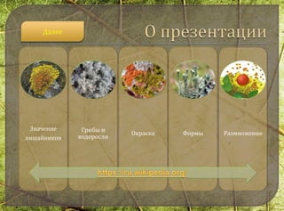 Значение
лишайников
Грибы и
водоросли
Окраска Формы Размножение
Далее
 
