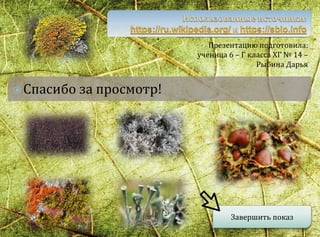 Презентацию подготовила:
ученица 6 – Г класса ХГ № 14 –
Рыбина Дарья
Спасибо за просмотр!
Завершить показ
 