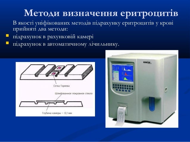 Генератор крови лолиленд