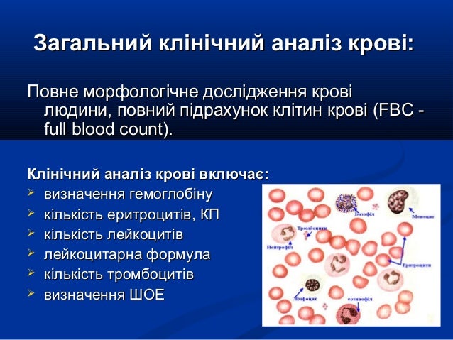 Профилактика заболеваний крови и кроветворных органов.