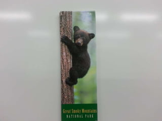 Магнити Чикаго