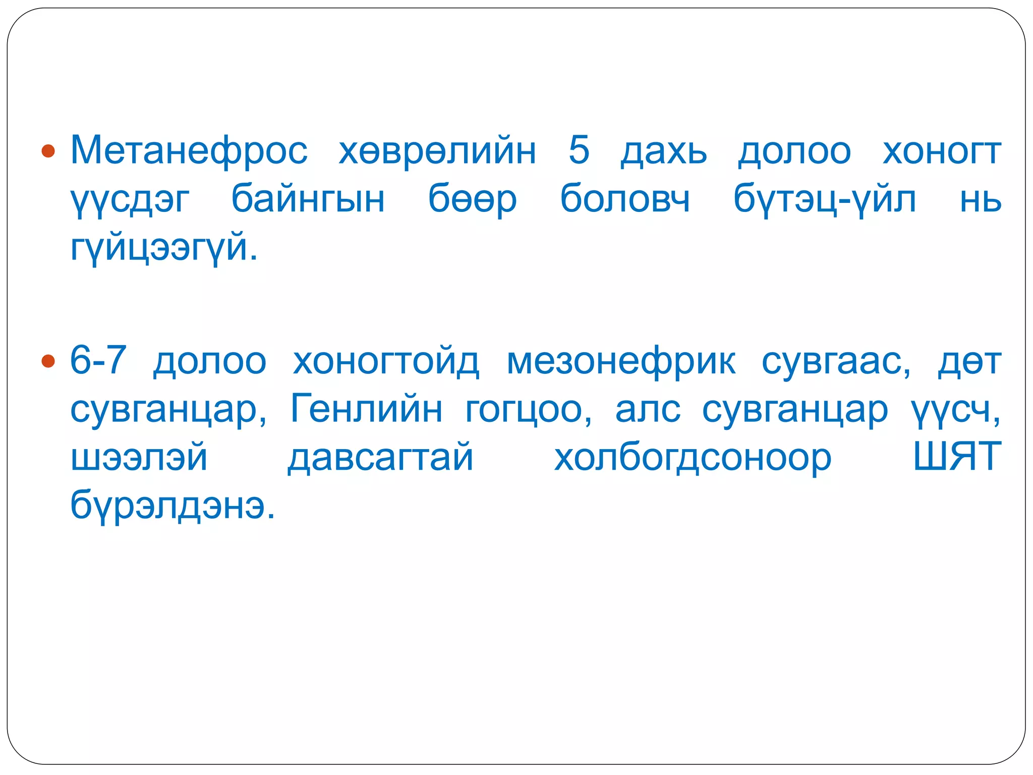  Метанефрос хөврөлийн 5 дахь долоо хоногт
үүсдэг байнгын бөөр боловч бүтэц-үйл нь
гүйцээгүй.
 6-7 долоо хоногтойд мезонефрик сувгаас, дөт
сувганцар, Генлийн гогцоо, алс сувганцар үүсч,
шээлэй давсагтай холбогдсоноор ШЯТ
бүрэлдэнэ.
 