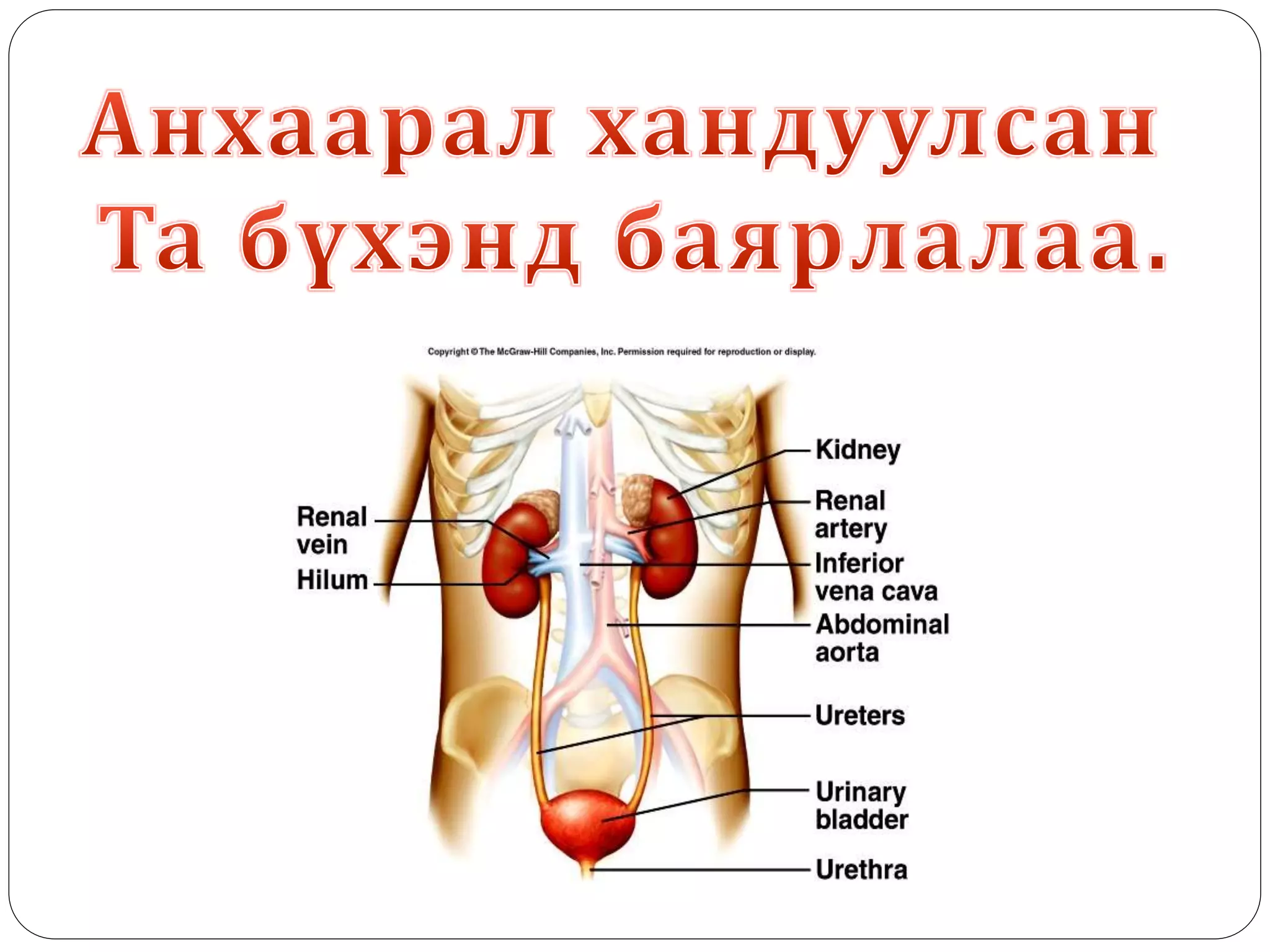 бшдз ын онцлог