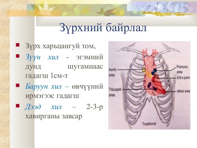 зүрх судас, цусны онцлог