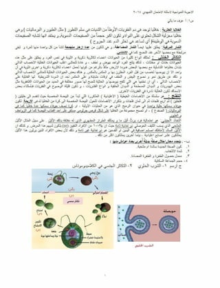 اسئلة التمهيدي الاحياء مع الاجوبة -2014