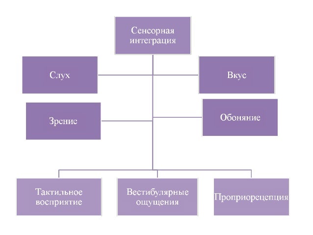 Сенсорно моторная интеграция