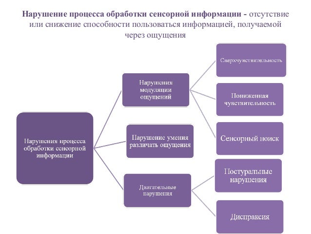 Сенсорно моторная интеграция