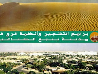 برامج التشجير وأنظمة الري في مدينة ينبع الصناعية