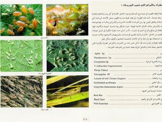 برامج التشجير وأنظمة الري في مدينة ينبع الصناعية