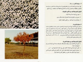 برامج التشجير وأنظمة الري في مدينة ينبع الصناعية