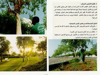 برامج التشجير وأنظمة الري في مدينة ينبع الصناعية