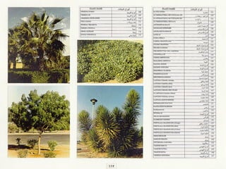 برامج التشجير وأنظمة الري في مدينة ينبع الصناعية