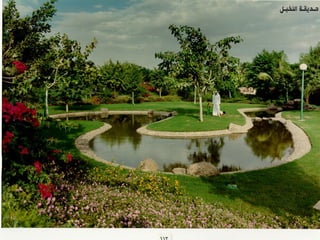 برامج التشجير وأنظمة الري في مدينة ينبع الصناعية