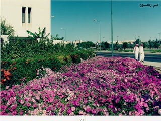 برامج التشجير وأنظمة الري في مدينة ينبع الصناعية