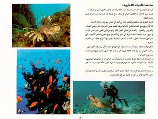 برامج التشجير وأنظمة الري في مدينة ينبع الصناعية