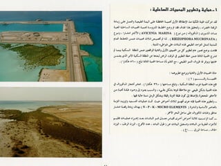 برامج التشجير وأنظمة الري في مدينة ينبع الصناعية