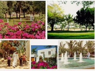 برامج التشجير وأنظمة الري في مدينة ينبع الصناعية