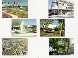 برامج التشجير وأنظمة الري في مدينة ينبع الصناعية