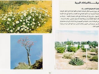 برامج التشجير وأنظمة الري في مدينة ينبع الصناعية