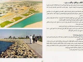 برامج التشجير وأنظمة الري في مدينة ينبع الصناعية