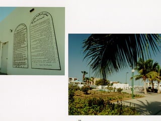 برامج التشجير وأنظمة الري في مدينة ينبع الصناعية