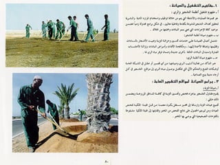 برامج التشجير وأنظمة الري في مدينة ينبع الصناعية