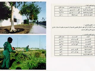 برامج التشجير وأنظمة الري في مدينة ينبع الصناعية