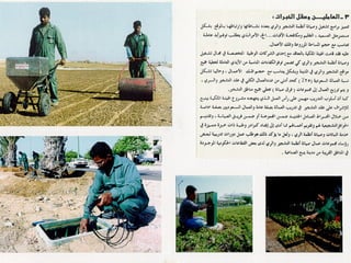 برامج التشجير وأنظمة الري في مدينة ينبع الصناعية