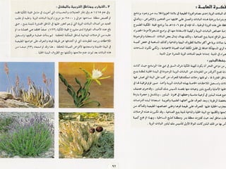 برامج التشجير وأنظمة الري في مدينة ينبع الصناعية