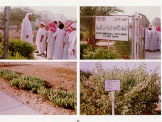 برامج التشجير وأنظمة الري في مدينة ينبع الصناعية