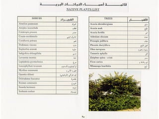برامج التشجير وأنظمة الري في مدينة ينبع الصناعية