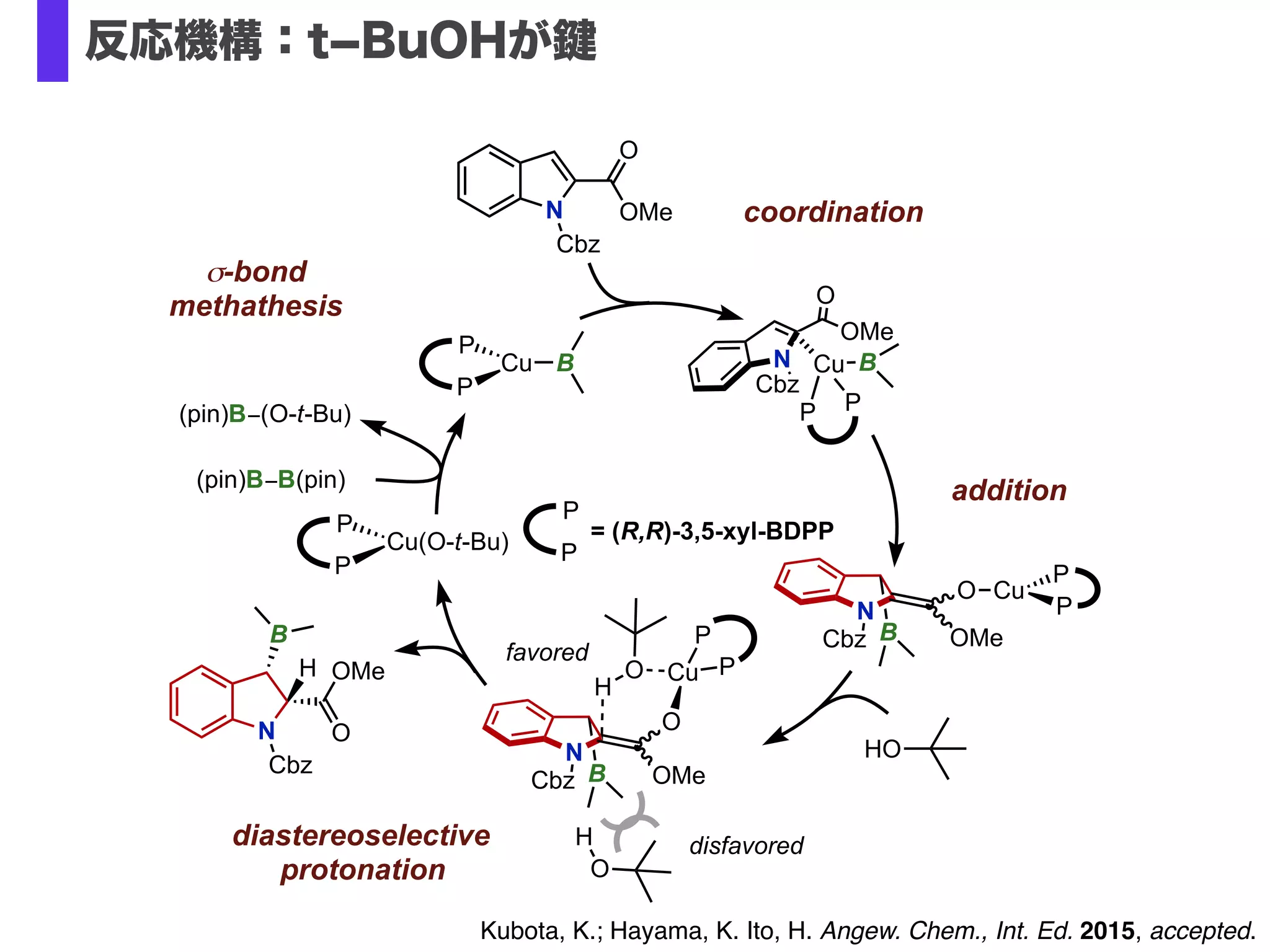 10 mol %
Cu(O-t-Bu) / L*
(pin)B−B(pin)
Na(O-t-Bu)
t-BuOH, THF
N
O
OR3
Cbz
N
O
OR3
Cbz
B O
O
R1
R2
R1
R2
up to 97:3 d.r.up to 99%
up to 97% ee
N
O
OMe
Boc
N
O
OMe
Boc
B(pin)
0.5 mmol 45%, d.r. 54:46
10 mol % Cu(O-t-Bu)
10 mol % Xantphos
(pin)B−B(pin) (2.0 equiv)
20 mol % K(O-t-Bu)
t-BuOH (2.0 equiv)
THF, 30 °C, 11 h
N
O
OMe
Boc
54%, d.r. 57:43
2 stereoisomers
OH
Ph
toluene
60 °C, 16 h
Ph
O
H
(3.0 equiv)
The first enantioselective borylative dearomatization
of heteroaromatic compounds has been achieved.
L* = (R,R)-xyl-BDPP
PP
Me
Me
Me
Me
Me
Me
Me
Me
Current study
インドールの脱芳香族ホウ素化
Kubota, K.; Hayama, K. Ito, H. Angew. Chem., Int. Ed. 2015, accepted.
 
