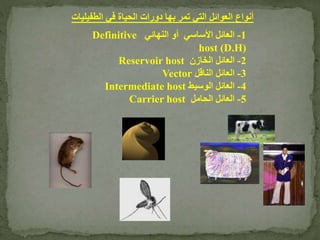 1-‫النهائي‬ ‫أو‬ ‫األساسي‬ ‫العائل‬Definitive
host (D.H)
2-‫الخازن‬ ‫العائل‬Reservoir host
3-‫الناقل‬ ‫العائل‬Vector
4-‫الوسيط‬ ‫العائل‬Intermediate host
5-‫الحامل‬ ‫العائل‬Carrier host
‫الطفي‬ ‫في‬ ‫الحياة‬ ‫دورات‬ ‫بها‬ ‫تمر‬ ‫التي‬ ‫العوائل‬ ‫أنواع‬‫ليات‬
 
