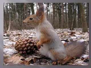 осіння подорож