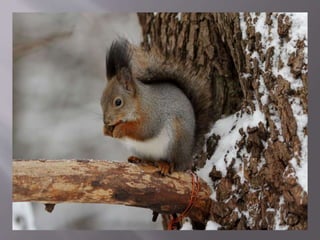 осіння подорож