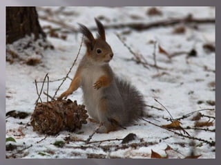 осіння подорож