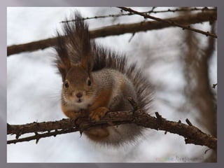осіння подорож