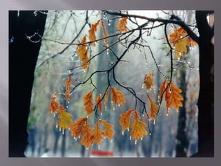 осіння подорож