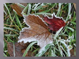 осіння подорож