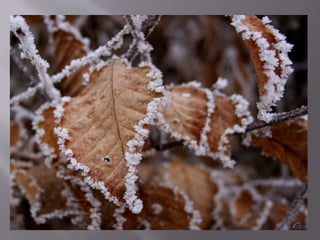 осіння подорож