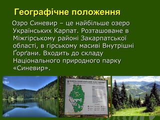 Географічне положенняГеографічне положення
Озро Синевир – це найбільше озероОзро Синевир – це найбільше озеро
Українських ...