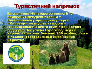 Туристичний напрямокТуристичний напрямок
За сприяння Міністерства екології таЗа сприяння Міністерства екології та
природних ресурсів України уприродних ресурсів України у
Національному природному паркуНаціональному природному парку
«Синевир» планується створити«Синевир» планується створити
спеціалізований центр реабілітації бурихспеціалізований центр реабілітації бурих
ведмедів. Популяція бурого ведмедя введмедів. Популяція бурого ведмедя в
Україні нараховує близько 300 особин, яка вУкраїні нараховує близько 300 особин, яка в
більшості зосереджена в Українськихбільшості зосереджена в Українських
Карпатах.Карпатах.
 