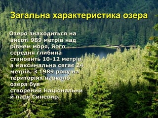 Загальна характеристика озераЗагальна характеристика озера
Озеро знаходиться наОзеро знаходиться на
висоті 989 метрів надвисоті 989 метрів над
рівнем моря, йогорівнем моря, його
середня глибинасередня глибина
становить 10-12 метрів,становить 10-12 метрів,
а максимальна сягає 24а максимальна сягає 24
метрів. З 1989 року наметрів. З 1989 року на
територіях навколотериторіях навколо
озера бувозера був
створений Національнистворений Національни
й парк Синевир.й парк Синевир.
 
