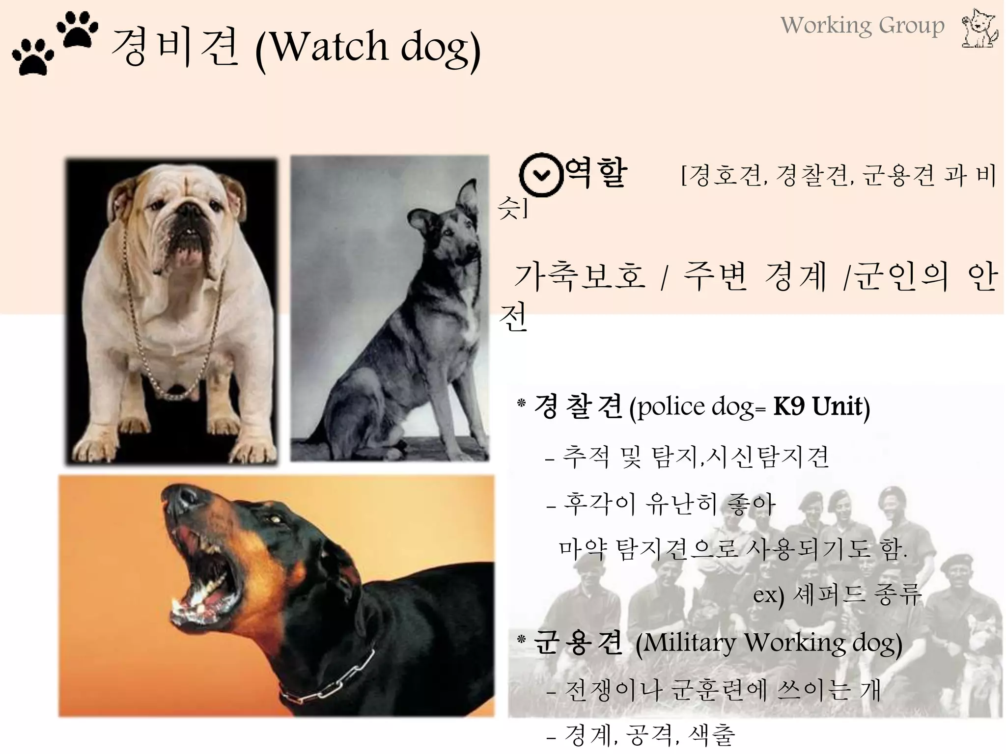 경비견 (Watch dog)
역할 [경호견, 경찰견, 군용견 과 비
슷]
가축보호 / 주변 경계 /군인의 안
전
* 경찰견(police dog= K9 Unit)
- 추적 및 탐지,시신탐지견
- 후각이 유난히 좋아
마약 탐지견으로 사용되기도 함.
ex) 셰퍼드 종류
* 군용견 (Military Working dog)
- 전쟁이나 군훈련에 쓰이는 개
- 경계, 공격, 색출
Working Group
 