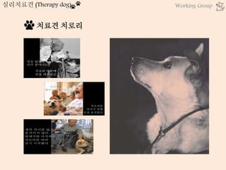 치료견 치로리
심리치료견 (Therapy dog) Working Group
 