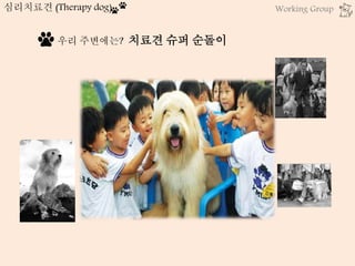 우리 주변에는? 치료견 슈퍼 순돌이
심리치료견 (Therapy dog) Working Group
 