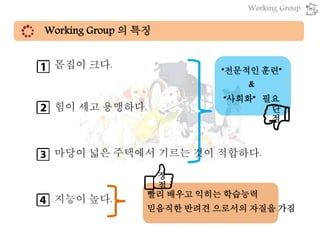 Working Group 의 특징
“전문적인 훈련”
&
“사회화” 필요
빨리 배우고 익히는 학습능력
믿음직한 반려견 으로서의 자질을 가짐
장
점
단
점
몸집이 크다.
힘이 세고 용맹하다.
마당이 넓은 주택에서 기르는 것이 적합하다.
지능이 높다.
Working Group
 