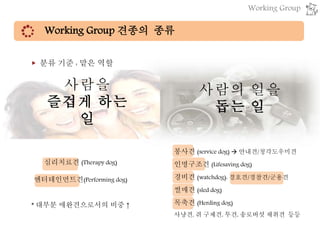 Working Group 견종의 종류
▶ 분류 기준 : 맡은 역할
사람을
즐겁게 하는
일
사람의 일을
돕는 일
심리치료견 (Therapy dog)
엔터테인먼트견(Performing dog)
* 대부분 애완견으로서의 비중 ↑
봉사견 (service dog)  안내견/청각도우미견
인명구조견 (Lifesaving dog)
경비견 (watchdog): 경호견/경찰견/군용견
썰매견 (sled dog)
목축견 (Herding dog)
사냥견, 쥐 구제견, 투견, 송로버섯 채취견 등등
Working Group
 