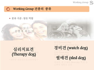Working Group 견종의 종류
▶ 분류 기준 : 맡은 역할
심리치료견 (Therapy dog)
엔터테인먼트견(Performing dog)
* 대부분 애완견으로서의 비중 ↑
봉사견(service dog)
인명구조견 (Lifesaving dog)
경비견, 경호견,
경찰견(police dog)
군용견(war dog)
썰매견 (sled dog)
목축견 (Herding dog)
사냥견, 쥐 구제견, Show dog, 투견, 송
로버섯 채취견 등등
심리치료견
(Therapy dog)
경비견 (watch dog)
썰매견 (sled dog)
Working Group
 