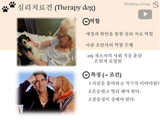 심리치료견 (Therapy dog)
역할
애정과 위안을 통한 심리 치료 역할
사람 조련사의 역할 수행
ex) 재소자의 사회 적응 훈련
은퇴자 요양원
특징 ( = 조건)
1.사람을 좋아하고 적극적 이어야한다
2.온순하고 영리 해야 한다.
3.참을성이 강해야 한다.
Working Group
 